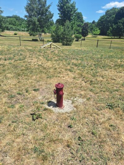 Bark Park - Shelby,