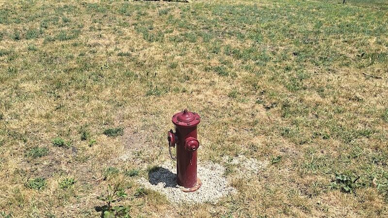 Bark Park - Shelby,