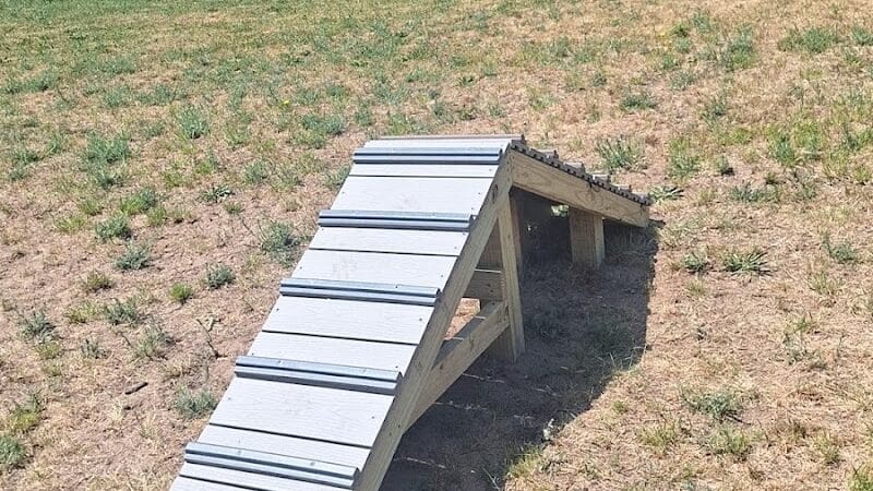 Bark Park - Shelby,