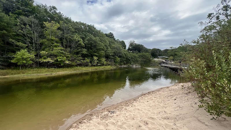 Benona Township Park - Shelby,