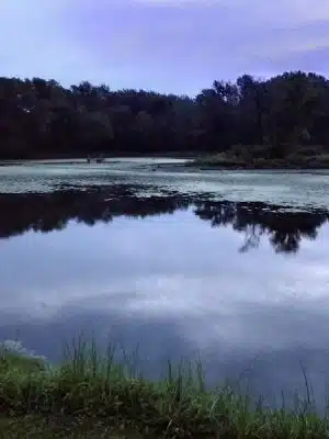 Shell Rock Park