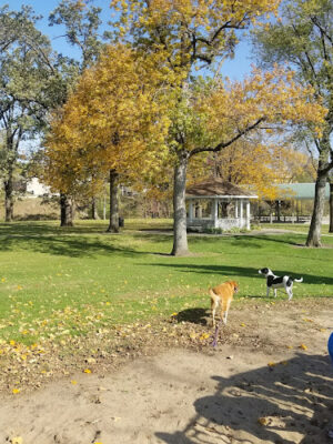 Shellsburg City Park