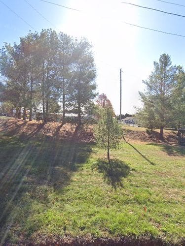 Shenandoah Dog Park - Shenandoah, VA