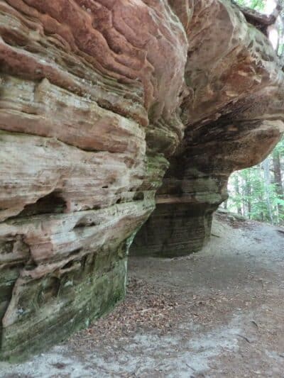 Beaver Creek Campground - Shingleton,