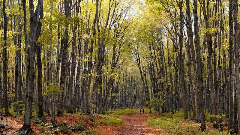Chapel Falls Trailhead - Shingleton,