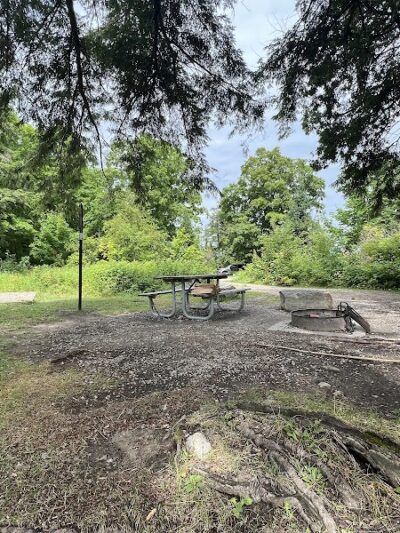 Little Beaver Lake Campground Trailhead - Shingleton,