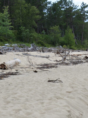 Miners Beach