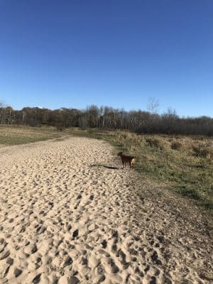 Rice Creek Off-Leash Dog Area - Shoreview, MN