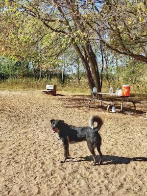 Rice Creek Off-Leash Dog Area - Shoreview, MN