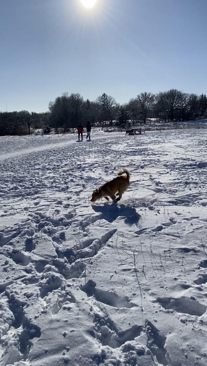 Rice Creek Off-Leash Dog Area - Shoreview, MN