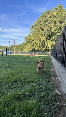 Tails & Trails Dog Park - Siloam Springs, AR