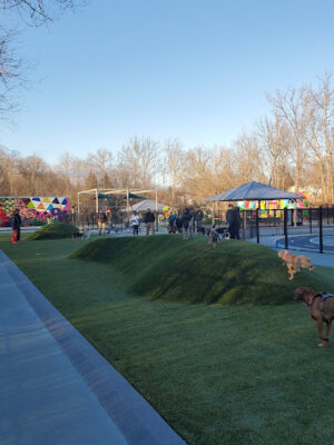 Dewey Local Park
