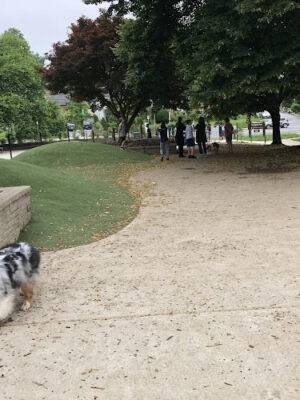 Ellsworth Park and Dog Park