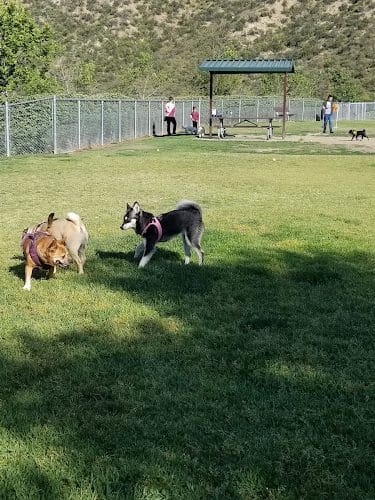 Simi Dog Park - Simi Valley, CA