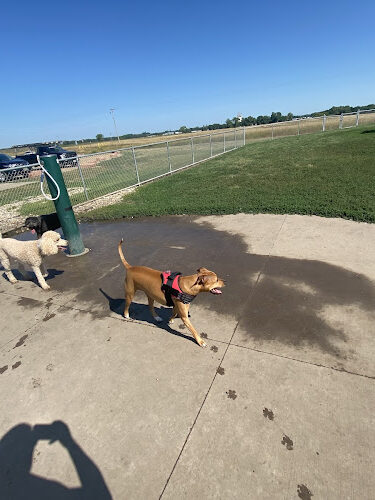 Family Park Dog Park