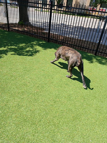 Kirby Dog Park at Fort Sod