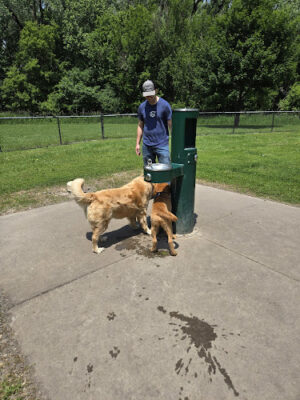 Spencer Park Dog Park