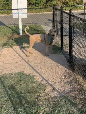 Smithfield Dog Park - Smithfield, NC