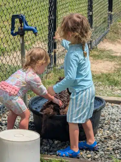 Smithfield Dog Park - Smithfield, NC
