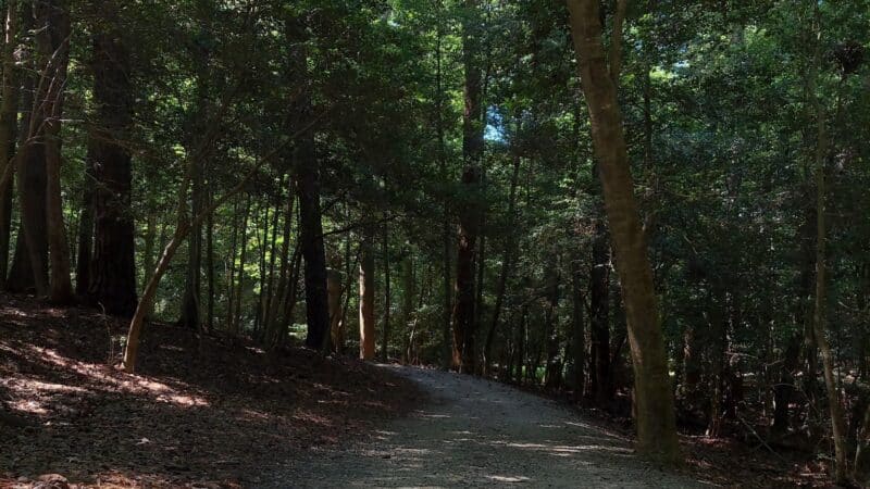 Windsor Castle Park - Smithfield, VA