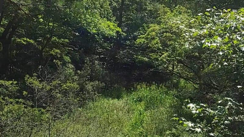 Windsor Castle Park - Smithfield, VA