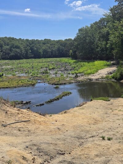 Blydenburgh County Park - Smithtown, NY