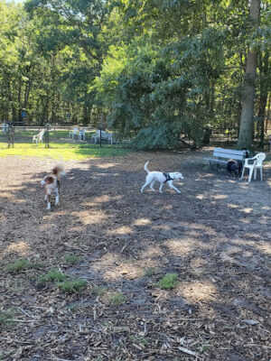Blydenburgh County Park