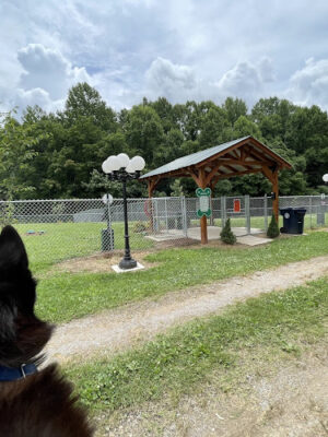 Central Bark Dog Park