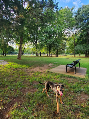 Bark Springs Dog Park Smyrna TN