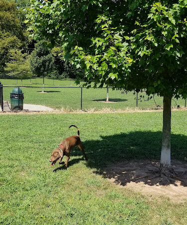 Colonial Dog Park