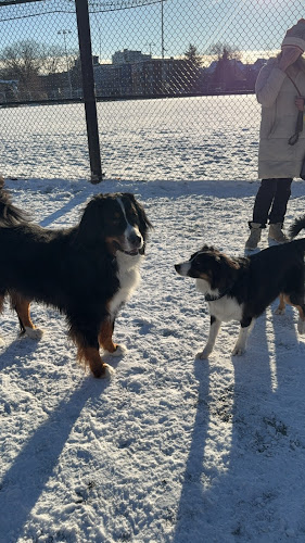 Lincoln Park Dog Park