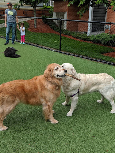 W Dog Park