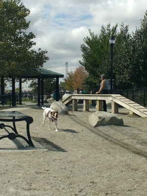 Zero New Washington Dog Park