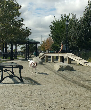 Zero New Washington Dog Park