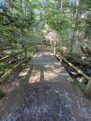 South Boardman Nature Preserve