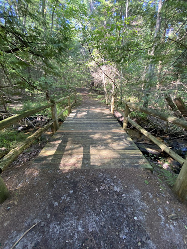 South Boardman Nature Preserve