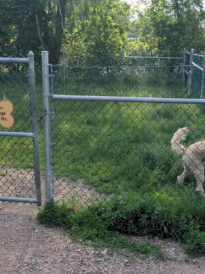 Farrell Park Dog Park