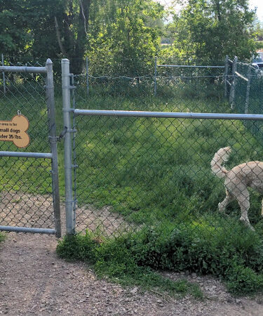 Farrell Park Dog Park