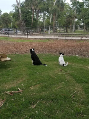 Reed Canal Park