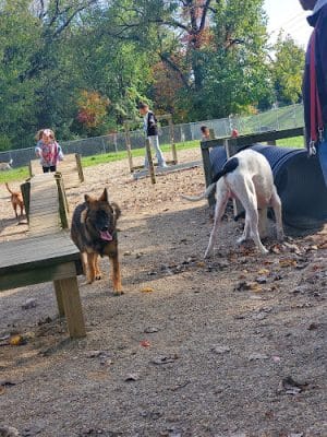 South Euclid Dog Park