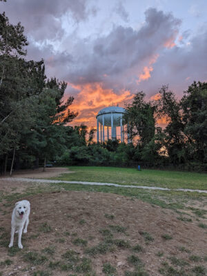 Friends of South Hadley Dog Park