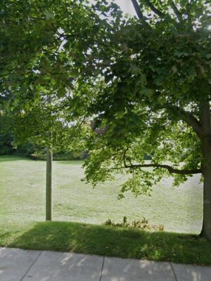Baer Park