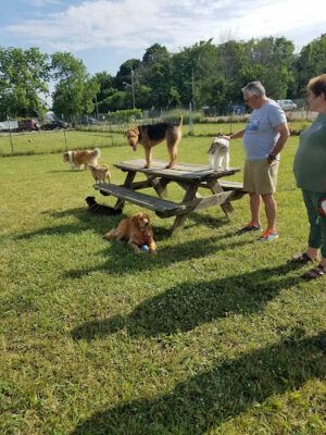 South Haven Dog Park