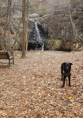 Hemlock Falls