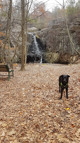 Hemlock Falls