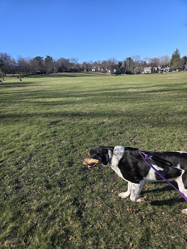 Meadowland Park