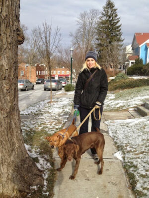 Silver Hound Dog Walking & Cat Sitting