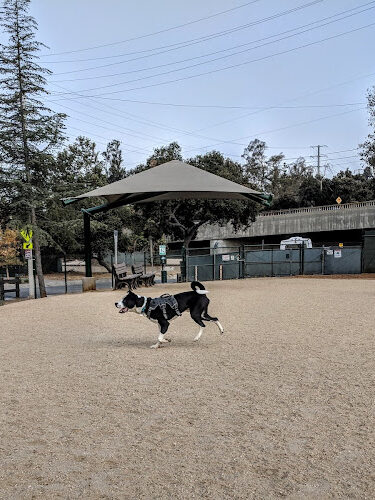 South Pawsadena Dog Park