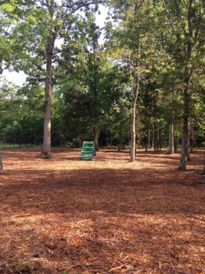 South Riding Dog Park