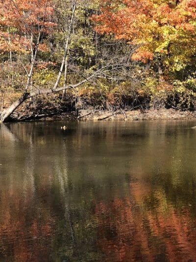 Dodge Park - South Rockwood,